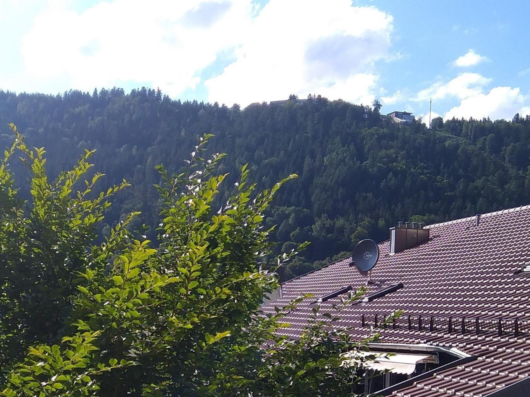 Ferienwohnung Tannenwald Bad Wildbad Zewnętrze zdjęcie