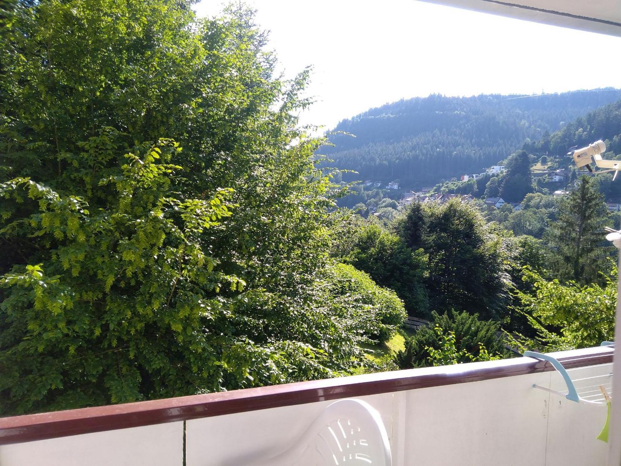 Ferienwohnung Tannenwald Bad Wildbad Zewnętrze zdjęcie